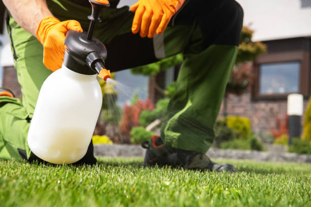 Professional Pest Control in Reading, PA